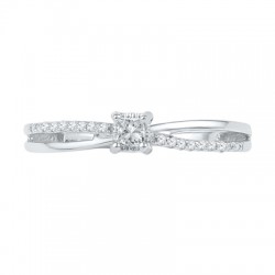 Anillo 31