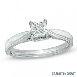 Anillo 40